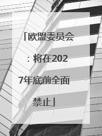 欧盟委员会：将在2027年底前全面禁止