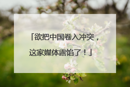 欲把中国卷入冲突，这家媒体露馅了！