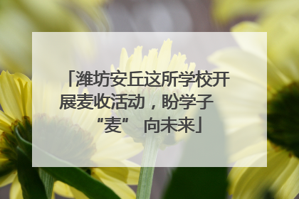 潍坊安丘这所学校开展麦收活动，盼学子 “麦” 向未来