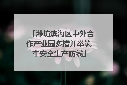潍坊滨海区中外合作产业园多措并举筑牢安全生产防线