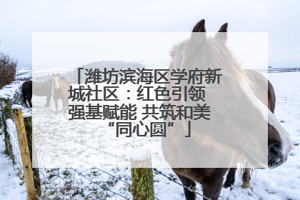 潍坊滨海区学府新城社区：红色引领 强基赋能 共筑和美“同心圆”