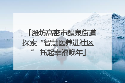 潍坊高密市醴泉街道探索“智慧医养进社区” 托起幸福晚年