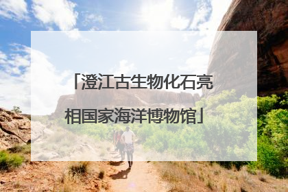 澄江古生物化石亮相国家海洋博物馆