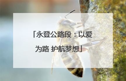 永登公路段：以爱为路 护航梦想