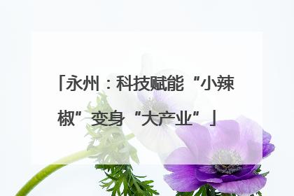 永州：科技赋能“小辣椒”变身“大产业”
