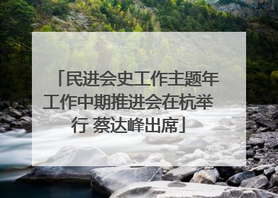民进会史工作主题年工作中期推进会在杭举行 蔡达峰出席