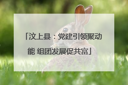 汶上县：党建引领聚动能 组团发展促共富