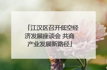 江汉区召开低空经济发展座谈会 共商产业发展新路径