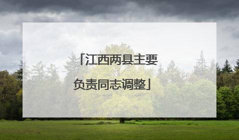 江西两县主要负责同志调整
