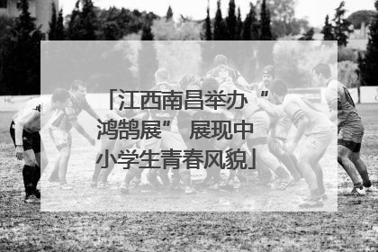 江西南昌举办“鸿鹄展” 展现中小学生青春风貌