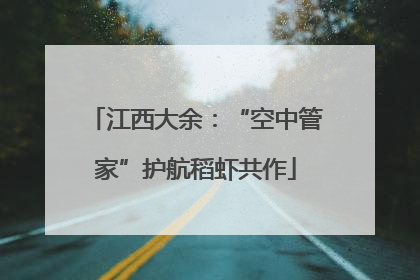 江西大余：“空中管家”护航稻虾共作