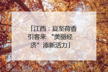 江西：夏至荷香引客来 “美丽经济”添新活力