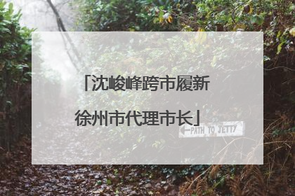 沈峻峰跨市履新徐州市代理市长