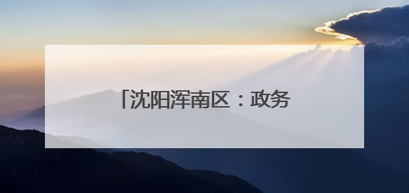 沈阳浑南区：政务服务进村屯，“村政通”助力乡村振兴