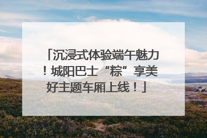 沉浸式体验端午魅力！城阳巴士“粽”享美好主题车厢上线！