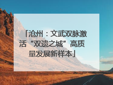 沧州：文武双脉激活“双遗之城”高质量发展新样本