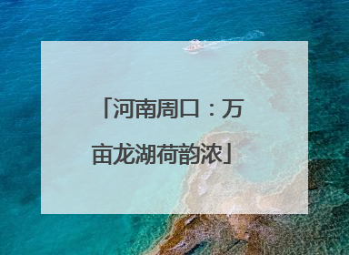 河南周口：万亩龙湖荷韵浓