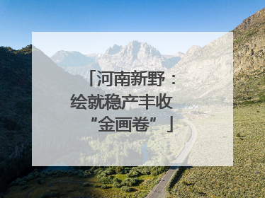 河南新野：绘就稳产丰收“金画卷”