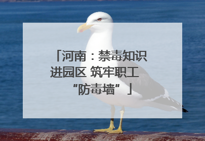 河南：禁毒知识进园区 筑牢职工“防毒墙”