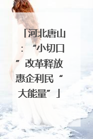 河北唐山：“小切口”改革释放惠企利民“大能量”