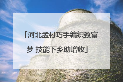 河北孟村巧手编织致富梦 技能下乡助增收