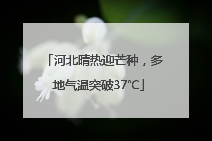 河北晴热迎芒种，多地气温突破37℃