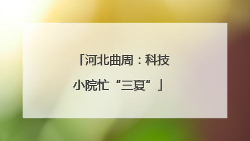 河北曲周：科技小院忙“三夏”