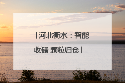 河北衡水：智能收储 颗粒归仓