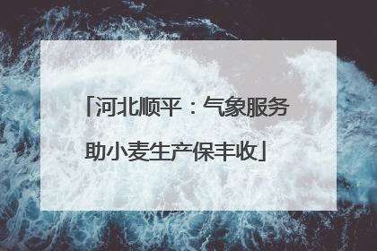 河北顺平：气象服务助小麦生产保丰收