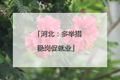 河北：多举措稳岗促就业