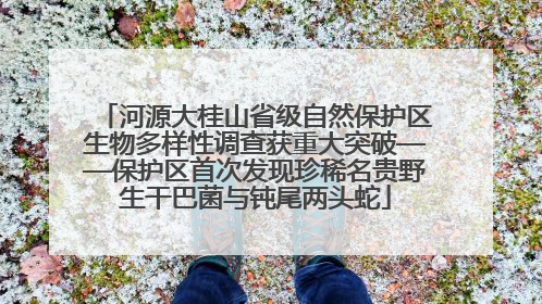 河源大桂山省级自然保护区生物多样性调查获重大突破——保护区首次发现珍稀名贵野生干巴菌与钝尾两头蛇