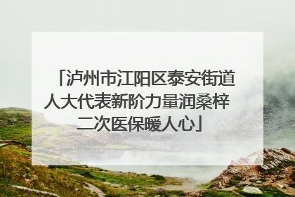 泸州市江阳区泰安街道人大代表新阶力量润桑梓 二次医保暖人心