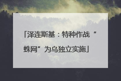 泽连斯基：特种作战“蛛网”为乌独立实施