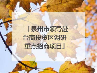 泉州市领导赴台商投资区调研重点招商项目