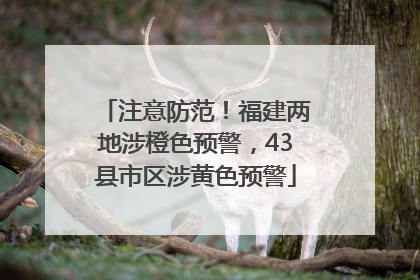 注意防范！福建两地涉橙色预警，43县市区涉黄色预警
