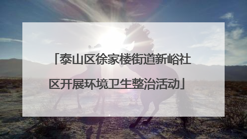 泰山区徐家楼街道新峪社区开展环境卫生整治活动