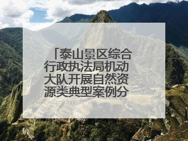 泰山景区综合行政执法局机动大队开展自然资源类典型案例分析交流活动