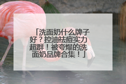 洗面奶什么牌子好？控油祛痘实力超群！被夸爆的洗面奶品牌合集！