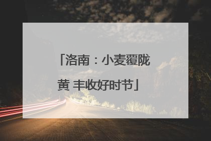 洛南：小麦覆陇黄 丰收好时节