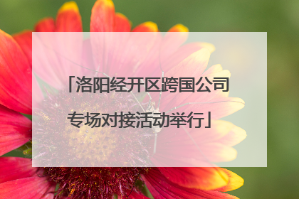 洛阳经开区跨国公司专场对接活动举行