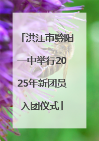 洪江市黔阳一中举行2025年新团员入团仪式
