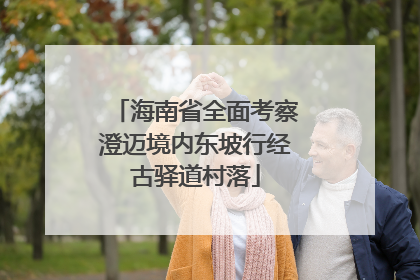 海南省全面考察澄迈境内东坡行经古驿道村落