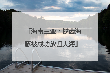 海南三亚：糙齿海豚被成功放归大海