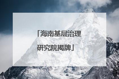 海南基层治理研究院揭牌