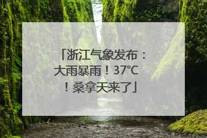 浙江气象发布：大雨暴雨！37℃！桑拿天来了