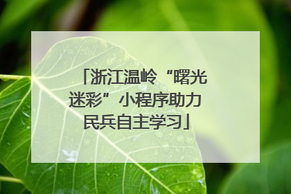 浙江温岭“曙光迷彩”小程序助力民兵自主学习