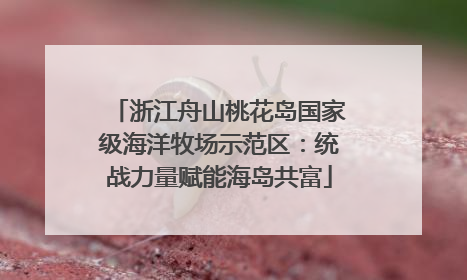 浙江舟山桃花岛国家级海洋牧场示范区：统战力量赋能海岛共富