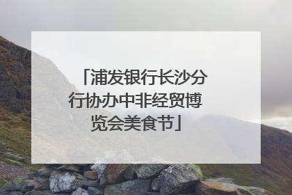 浦发银行长沙分行协办中非经贸博览会美食节