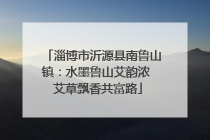 淄博市沂源县南鲁山镇：水墨鲁山艾韵浓 艾草飘香共富路