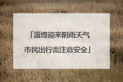 淄博迎来阴雨天气 市民出行需注意安全